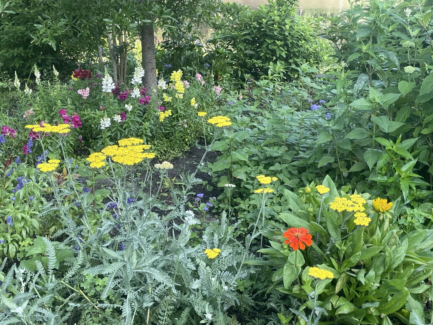 Flower beds in bloom in the gardens at Johnson Lake